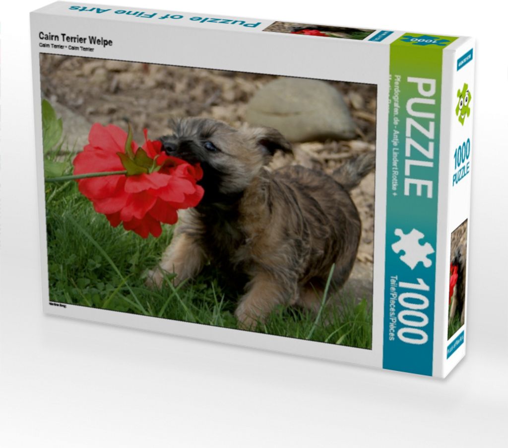 Calvendo Cairn Terrier Welpe 1000 Teile Puzzle quer 640x480mm, ; 7380801