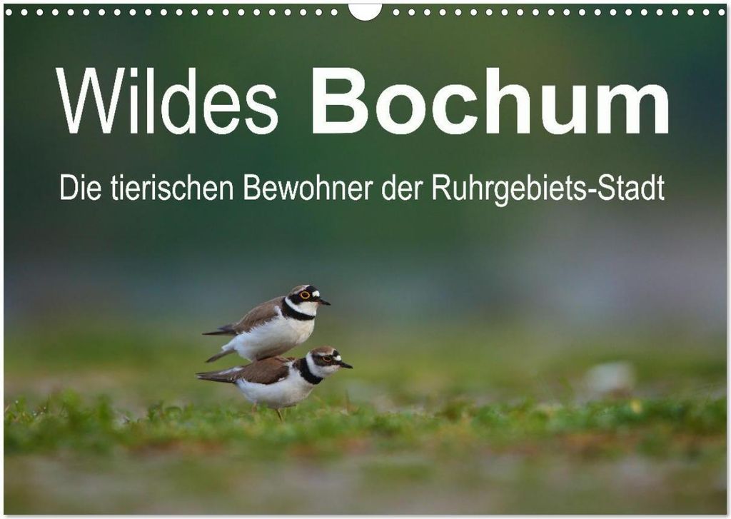 Wildes Bochum (Wandkalender 2026 DIN A3 quer), CALVENDO Monatskalender