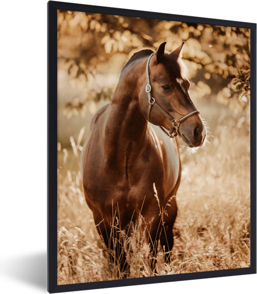 MuchoWow® Gerahmtes Poster Pferd - Sonne - Porträt - Natur Produktbild 