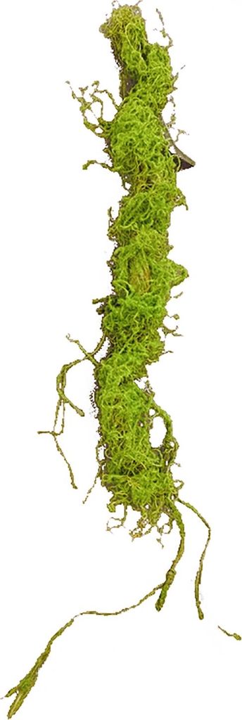 Moos Girlande 110 cm Kunstpflanze Flora Produktbild 