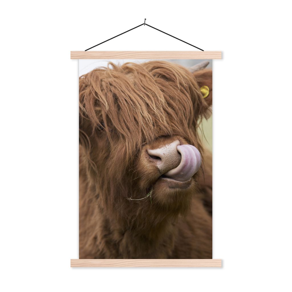 MuchoWow Textilposter Schottischer Highlander - Braun - Tiere 60x90 cm mit holzfarbenen Rahmen - Textil