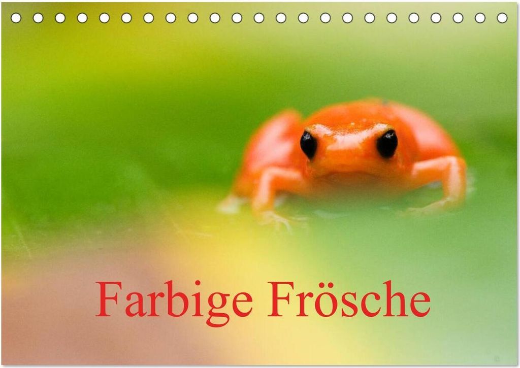 Farbige Frösche (Tischkalender 2026 DIN A5 quer), CALVENDO Monatskalender