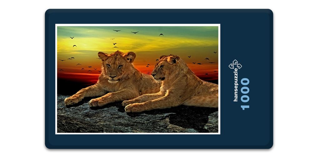 hansepuzzle 16912 - Löwen-Paar Puzzle, 1000 Teile, Tierwelt, 60,0 x 46,0cm mit hochwertiger Aufbewahrung, Kartonbox und wiederverschließbarem Beutel