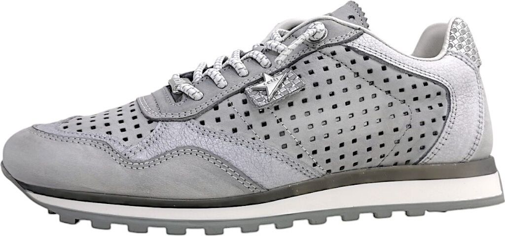 A single grey sneaker shown from the side against a white background.