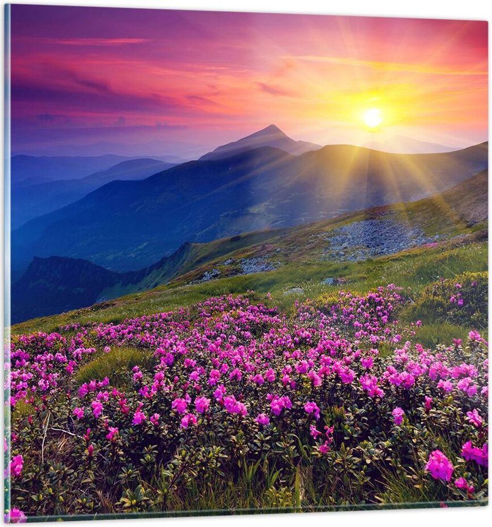 Bilder auf glas - Wiese Berge Landschaft - 40x40cm - Glasbilder - Wandbilder - Kunstdruck - zum Aufhängen bereit - Wanddekoration aus Glas - Glas ...