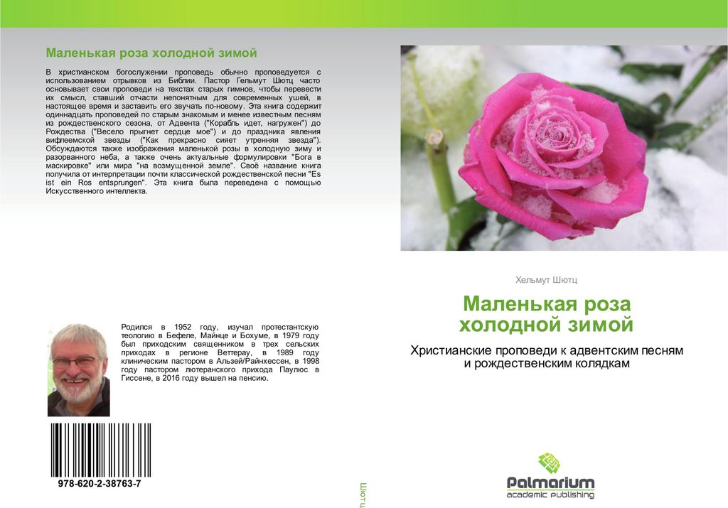 Malen'kaq roza holodnoj zimoj
