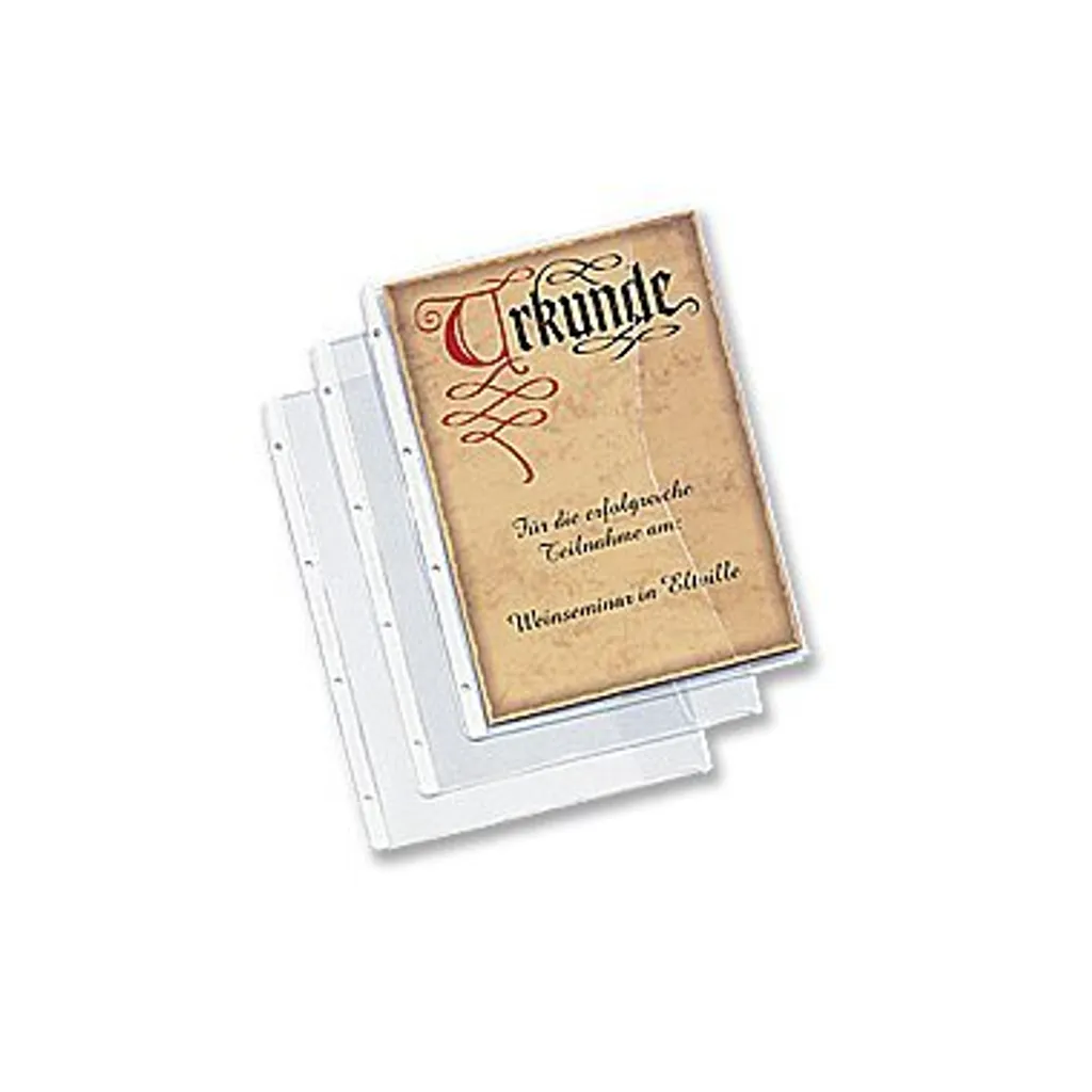 Pochette porte-documents Rexel A4 souple : évitez les feuilles cornées - 4