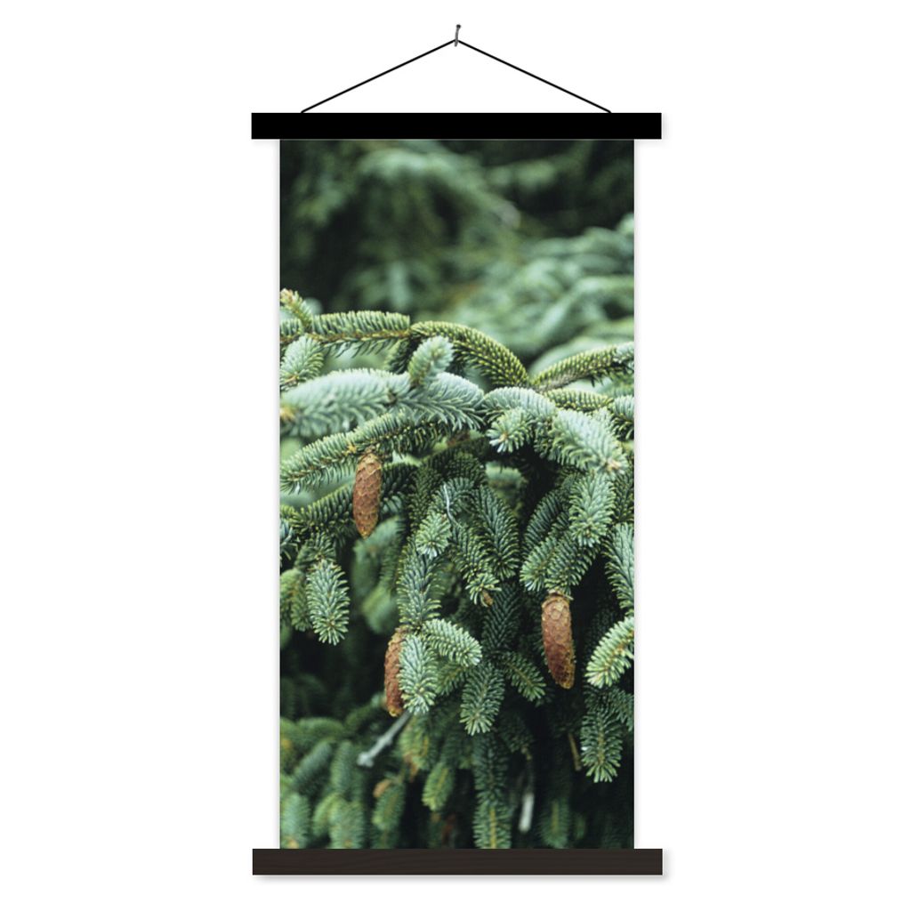 MuchoWow Textilposter Eine Nahaufnahme eines Weihnachtsbaums in einem Wald in den Vereinigten Staaten 40x80 cm mit schwarzem Rahmen - Wandemalerei
