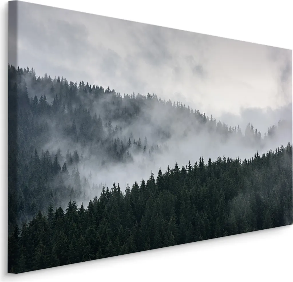 Stampa Artistica Bosco Nebbioso 70x50 cm Tela SCREEN PICTURE