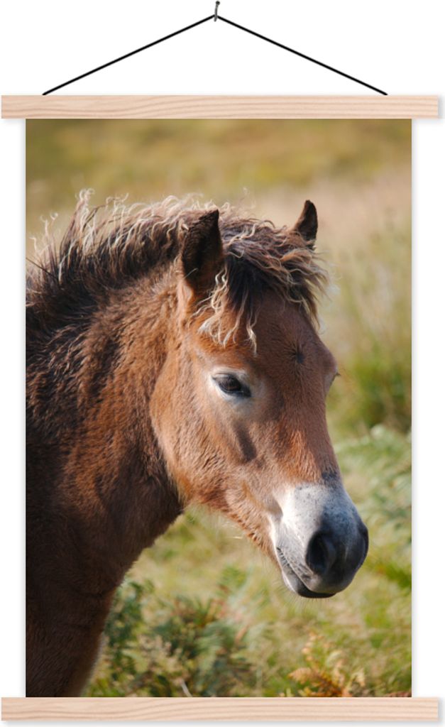 MuchoWow Textilposter Pferd - Pony - Porträt 120x180 cm mit holzfarbenen Rahmen - Textil-Plakat