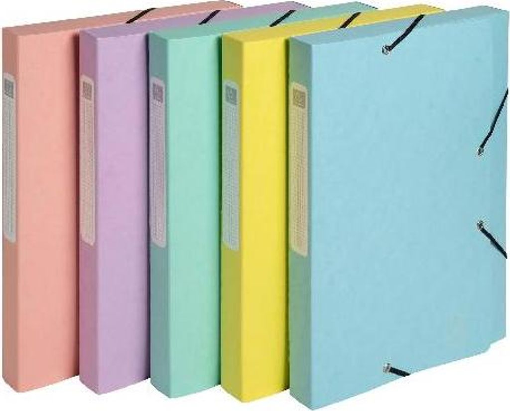 Exacompta 10x Archivbox A4 Colorspan Rücken 25mm Aquarel sortiert 18560E
