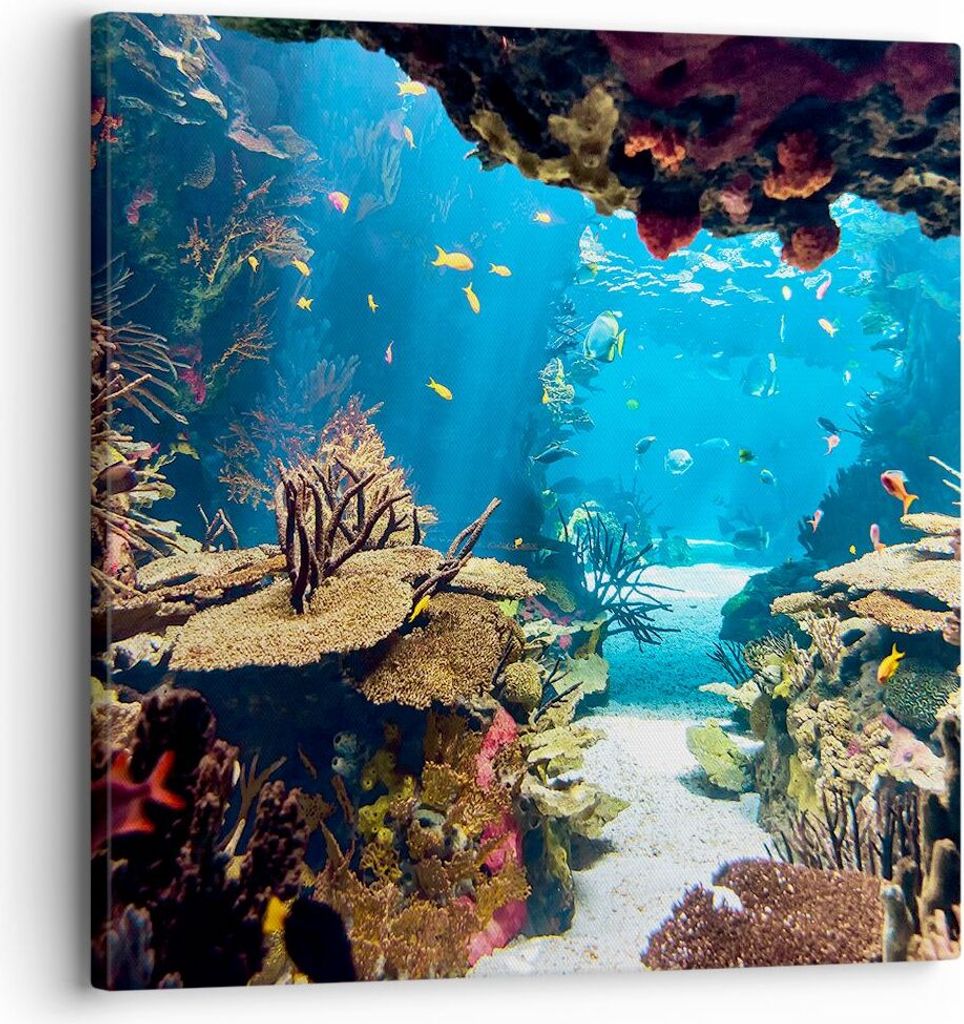Bild auf Leinwand - Leinwandbild - Ozean Riff Fische Produktbild 