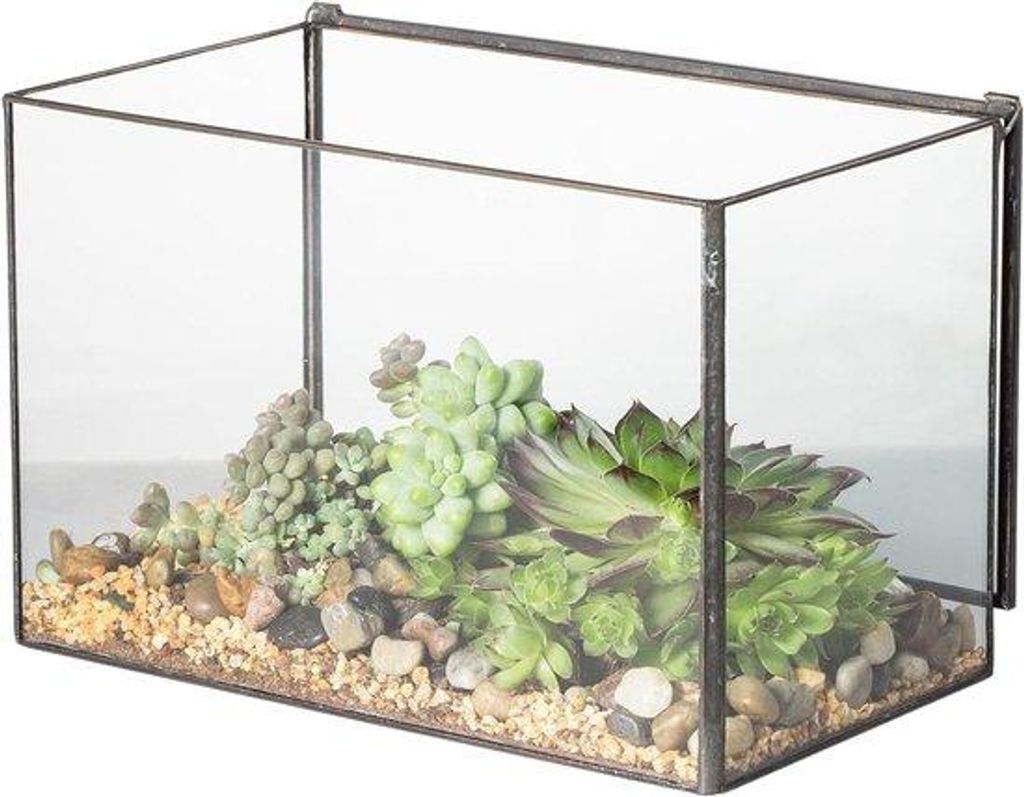 Gläsernes Terrarium - moderne Dekoration - 1 Stück - schwarz - 17x10x12 cm