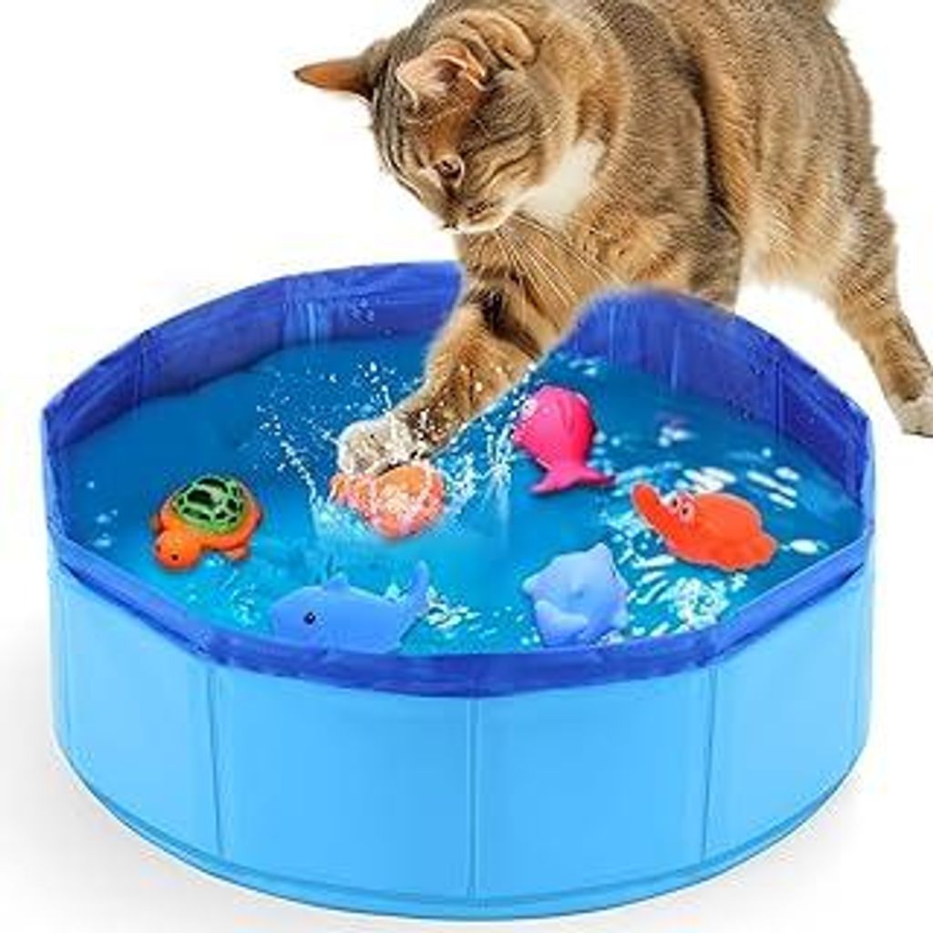 Katzenpool, 30×10cm Hundepool Klein, Planschbecken für Katzen, Faltbarer Katzen Pool, Faltbarer Pool für Hund und Katze, Mini Pool für Kätzche...