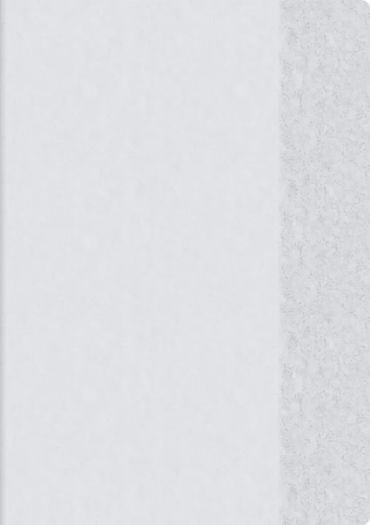 Housse de protection A5 BRUNNEN 104054599 en Plastique Translucide