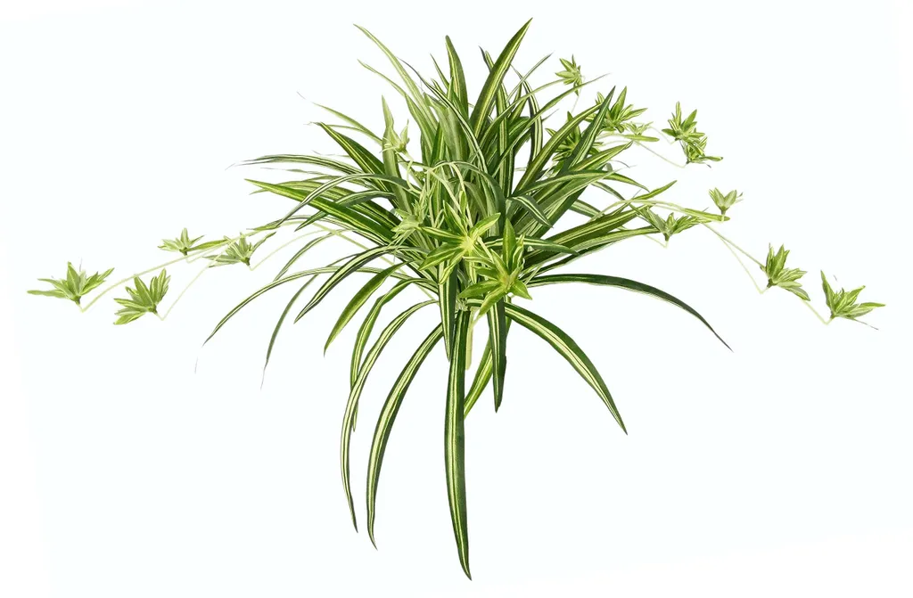 Plante artificielle suspendue chlorophytum en pot pour décoration