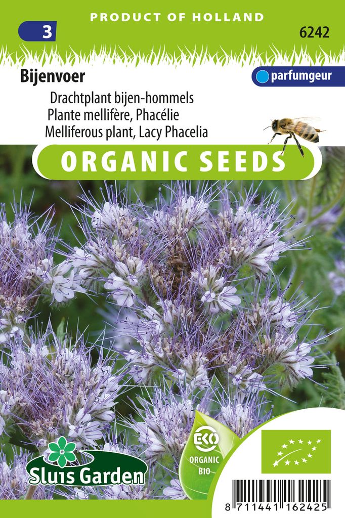 Phacelia Tanacetifolia, Honigpflanze -  Samen - Ca. 6 g | Produktbild 