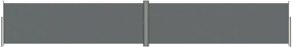 Paravento Laterale vidaXL 160x1000 cm Antracite | Qualità e Resistenza