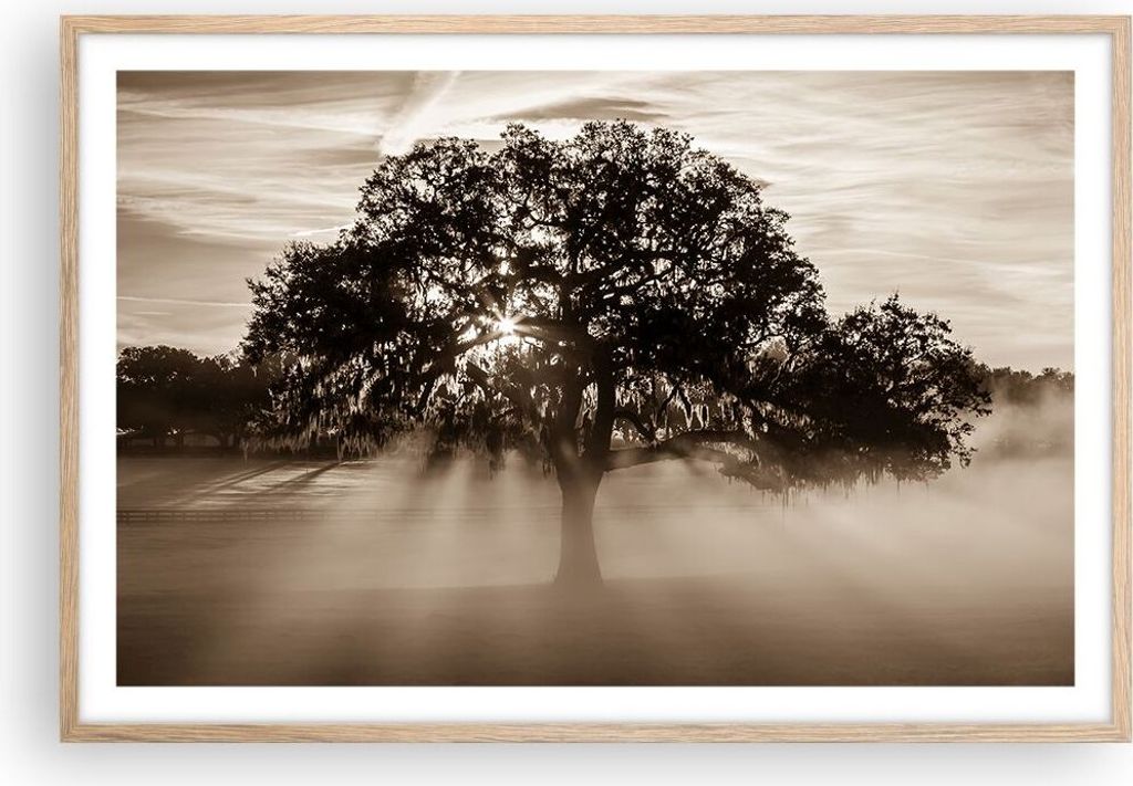 Gerahmtes Poster - Rahmen in heller Eiche - Baum Feld Natur - 91,5x61 cm - Wand Bild - Wanddeko - Wandbilder - Kunstposter - Wandposter - Bilderrah...