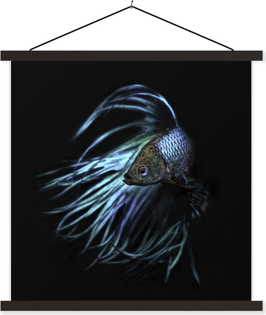 MuchoWow Textilposter Fische - Meerestiere - Blau - Schwarz 40x40 cm mit schwarzem Rahmen - Fotos