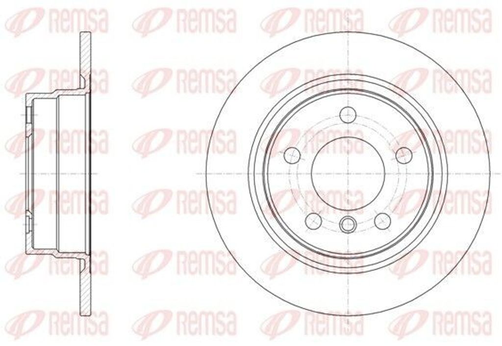 2x REMSA Bremsscheibe 61450.00 hinten für BMW 1 Schrägheck (F20) 2 Cabrio (F23)
