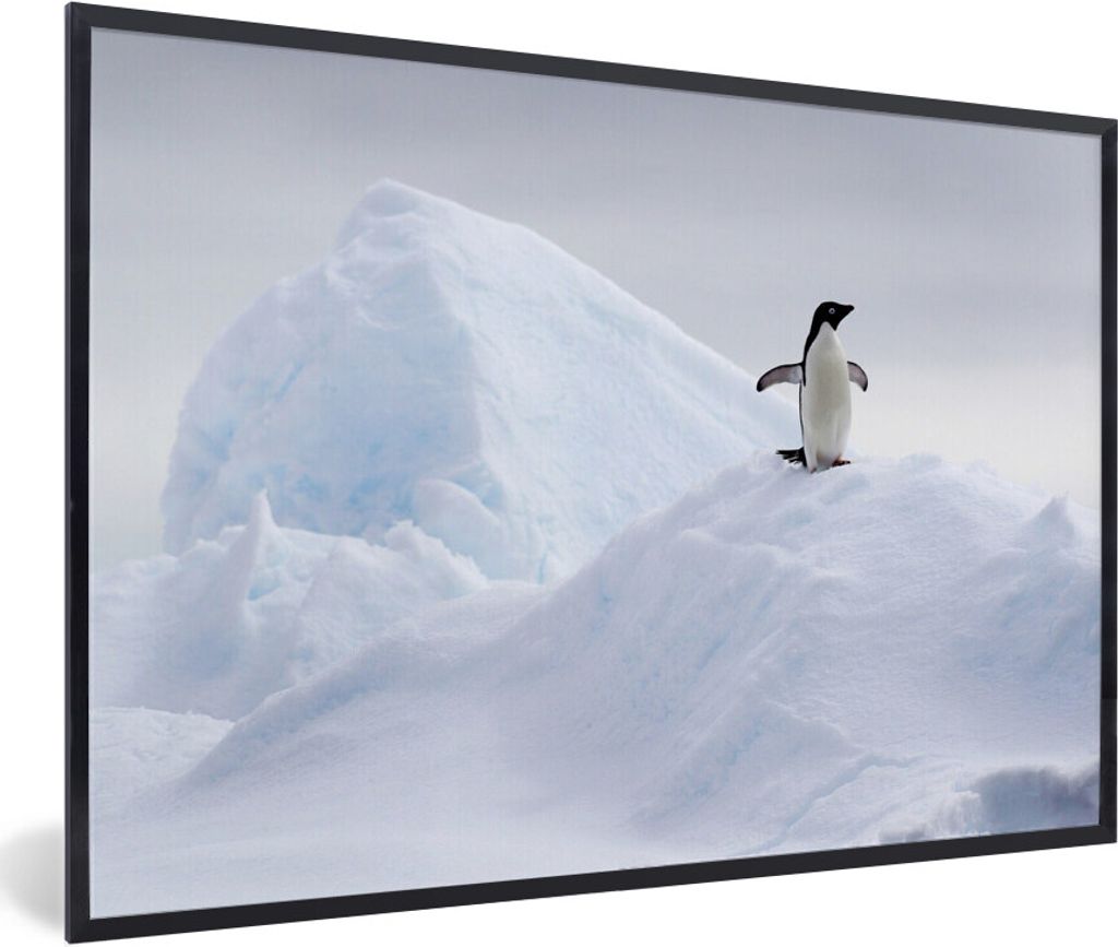 MuchoWow MuchoWow Gerahmtes Poster Pinguin - Eis - Winter 30x20 cm - Poster mit zchwarzem Bilderrahmen - Kunstdruck - Bild-Poster
