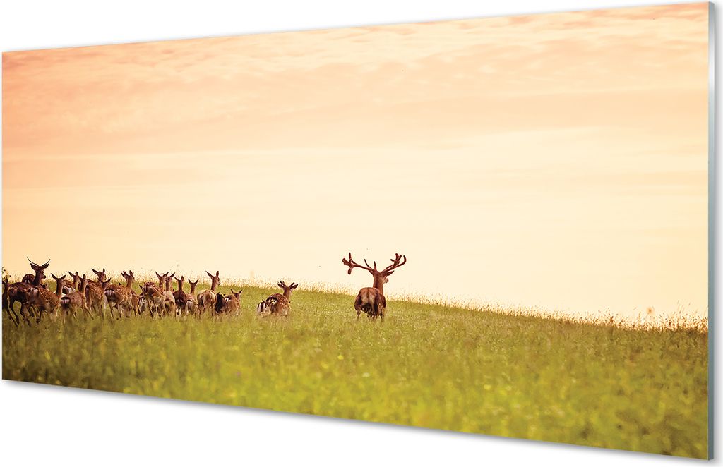 Glasbilder 100x50 Wandkunst Eine Herde von Hirschfeld Sonnenaufgang