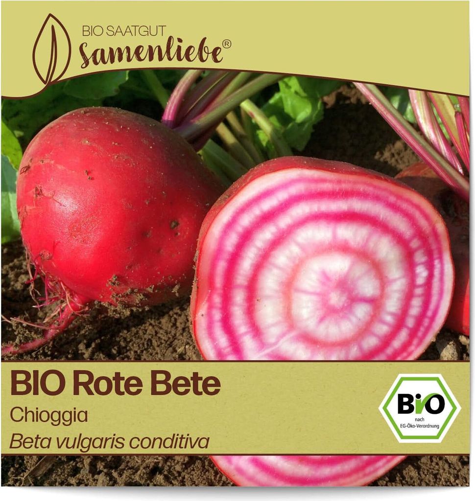 Samenliebe  Rote Bete Samen alte Sorte Chioggia süße feine Produktbild 