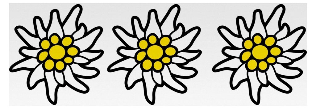 Aufkleber Allgäu Edelweiss für Auto, Camper, Wohnmobil, Anhänger und Motorrad
