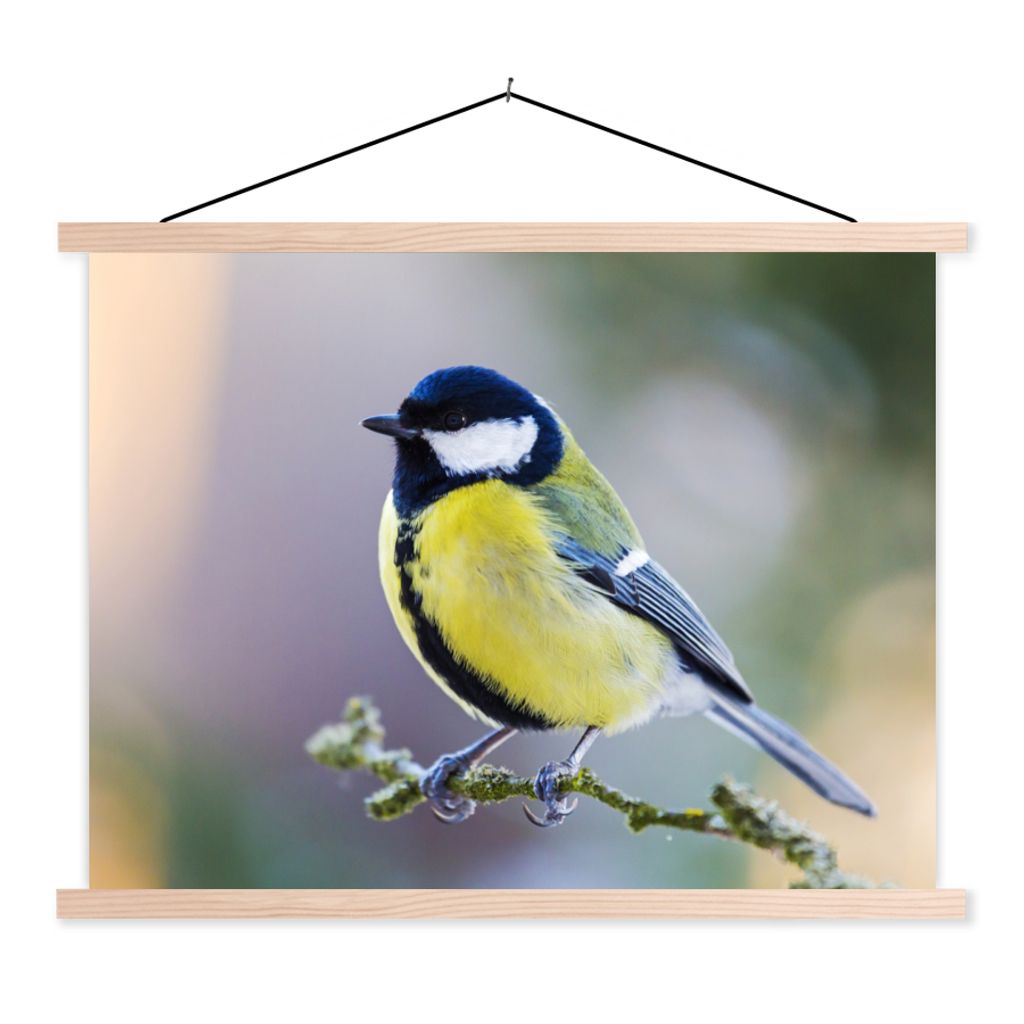 MuchoWow Textilposter Kohlmeise - Vogel - Zweig 40x30 cm mit holzfarbenen Rahmen - Bilder