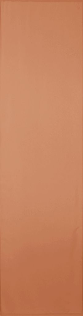 Flächenvorhang Ellen ohne Zubehör, Größe: 60x245cm, Farbe: Hellbraun