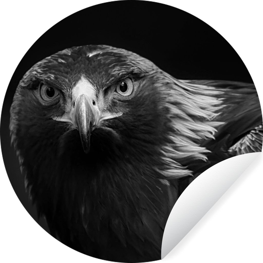MuchoWow Runde Wandtattoo - Wandsticker Tapete Aufkleber Bussard - Vogel - Tiere - Schwarz - Weiß Ø 50 cm Selbstklebend und Repositionierbar - ...