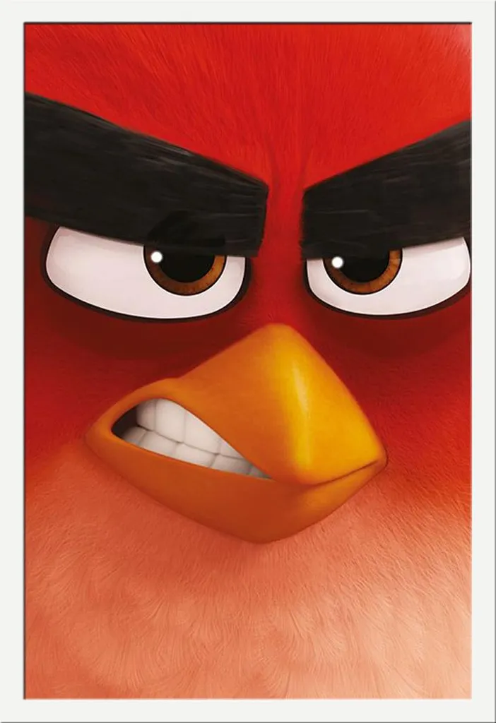 Décoration Murale Angry Birds pour Chambre Enfant Cadre Blanc Shinsuke