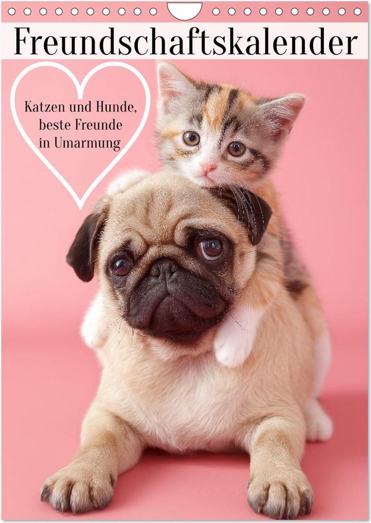 Freundschaftskalender - Katzen und Hunde, beste Freunde in Umarmung (Wandkalender 2027 DIN A4 hoch), CALVENDO Monatskalender