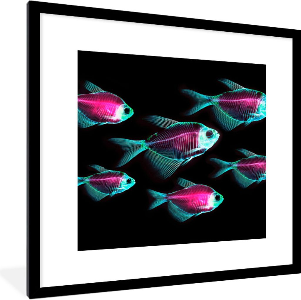 MuchoWow Gerahmtes Poster Fisch - Lila - Blau 40x40 cm - Poster mit Schwarzem Bilderrahmen Wandposter Rahmen Foto Bilder - Poster - Plakat im Rahmen