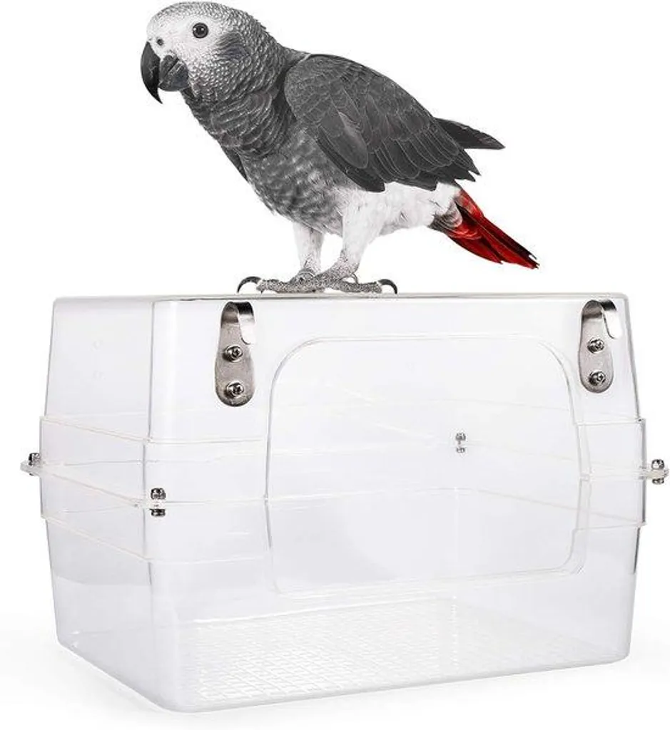 Abreuvoir et baignoire pour oiseaux extérieur 33 cm design panoramique