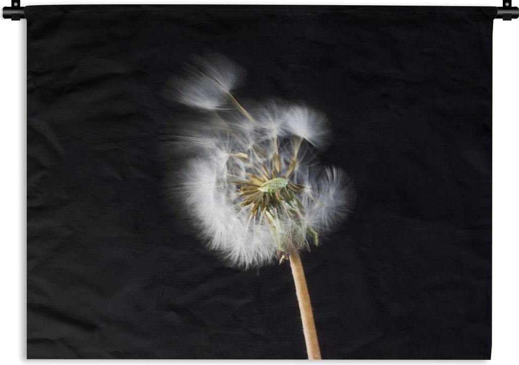 MuchoWow Wandteppich Wandbehang Eine Pollenblume auf schwarzem Hintergrund 120x90 cm Tapisserie Dekoration Wandtuch - Wohnen - Aufhänger für di...
