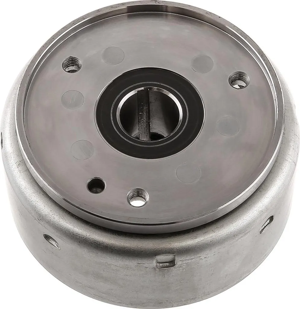 Pièce de rechange rotor 31110-108-000 Herchee Schipra pour réparation