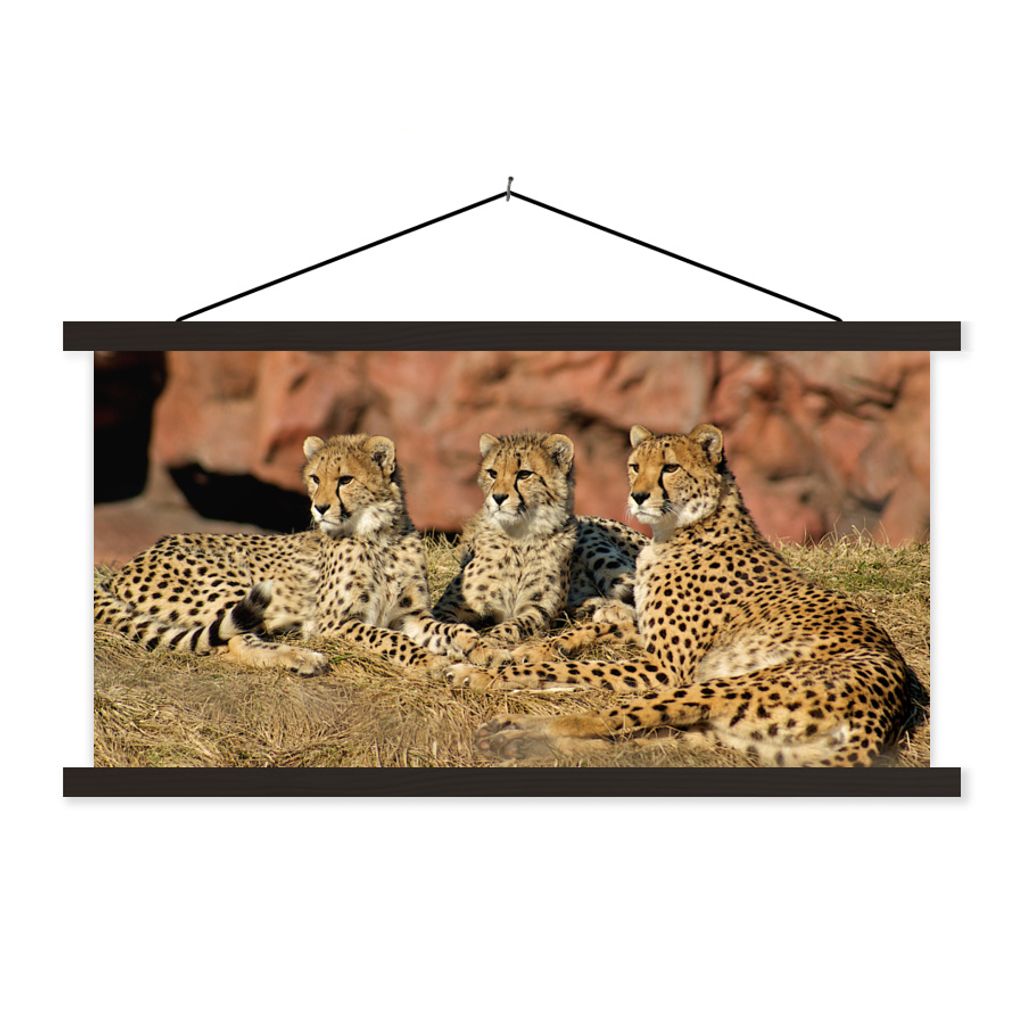 MuchoWow Textilposter Gepardenmutter und -junge 90x45 cm mit schwarzem Rahmen - Klemmleisten