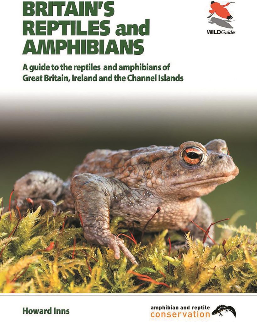 Britain's Reptiles And Amphibians – Lingua: Inglese