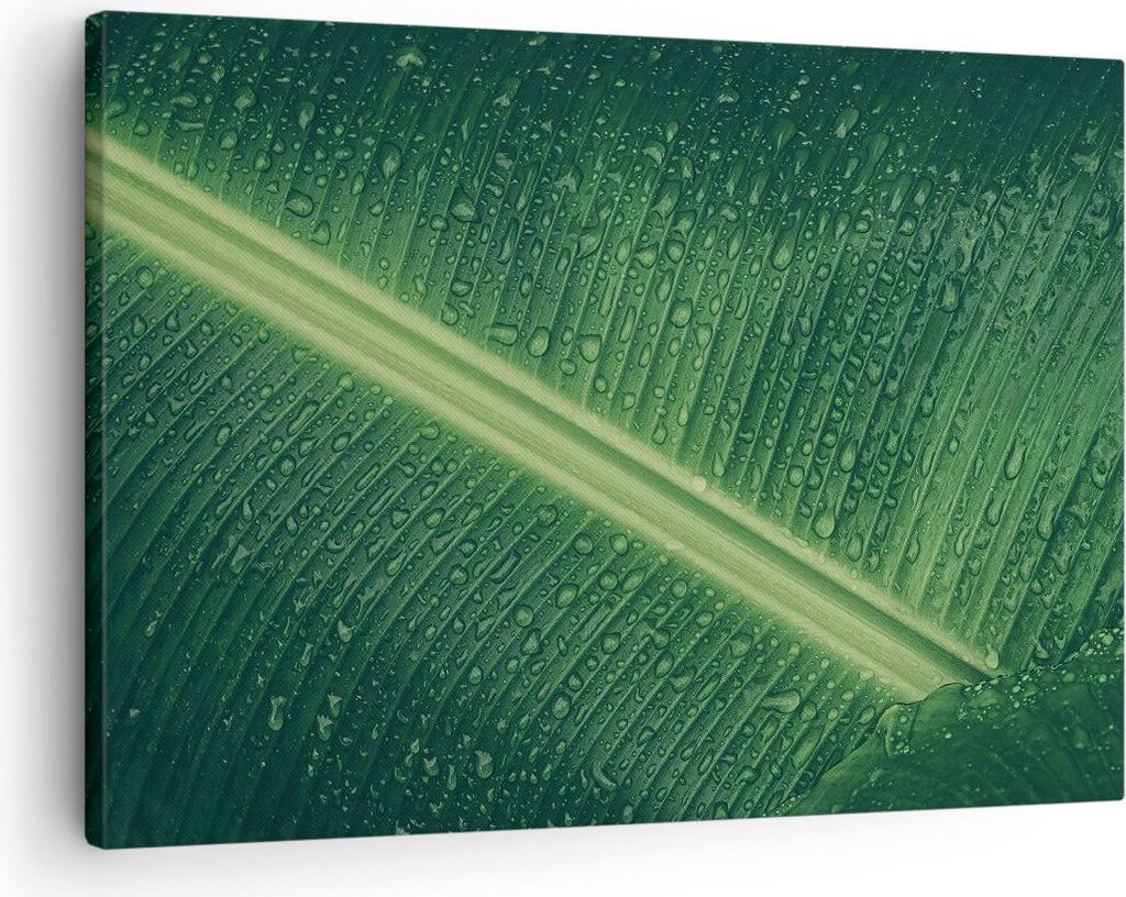 Bild auf Leinwand - Leinwandbild - Einteilig - Makro Blatt Tropfen - 70x50cm - Wand Bild - Wanddeko - Wandbilder - Leinwanddruck - Bilder - Wanddek...