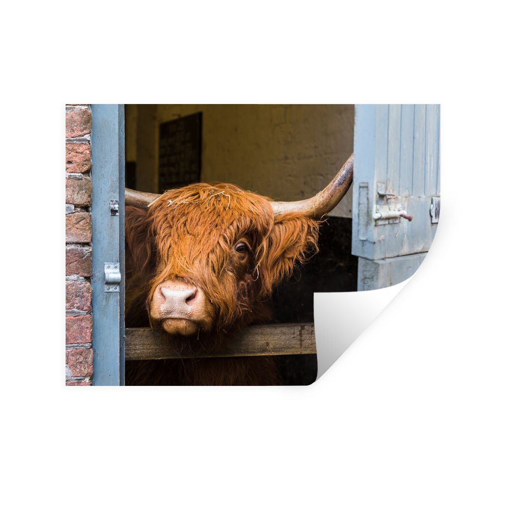 MuchoWow Wandtattoo Wandsticker Wandaufkleber Schottischer Highlander - Bauernhaus - Scheune 80x60 cm Selbstklebend und Repositionierbar - Falten...