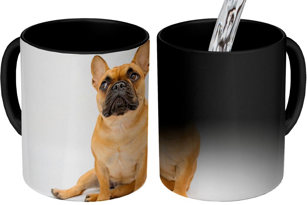 MuchoWow Zauber Tasse Zaubertasse Magic Französische Bulldogge - Weiß - Braun 350 ml Farbwechsel Becher Geschenk Geschenkidee - Magic-Tasse - F...