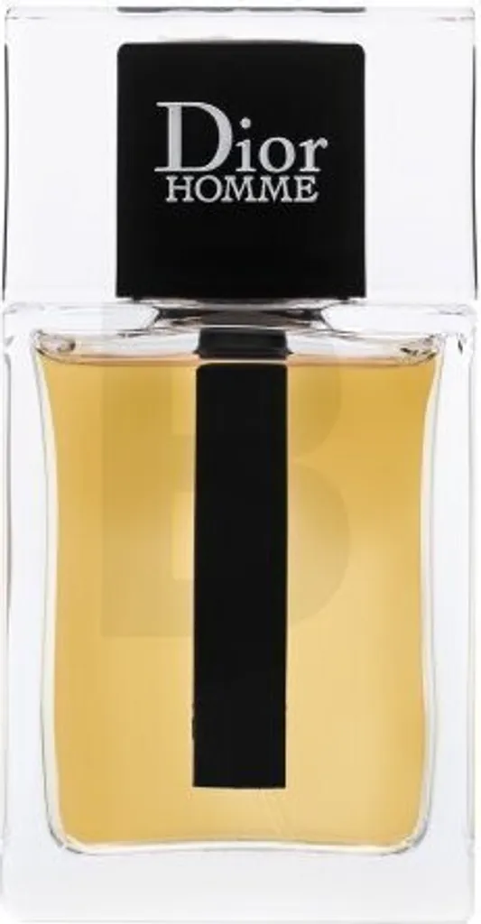 Recensione Dior Homme Eau de Toilette 50ml - Prezzo e Note Olfattive