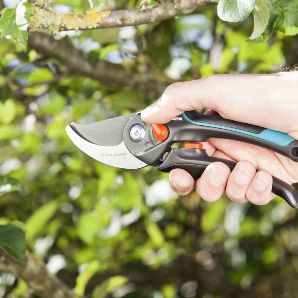 Gardena záhradné nožnice B/S-XL Obrázok produktu 10