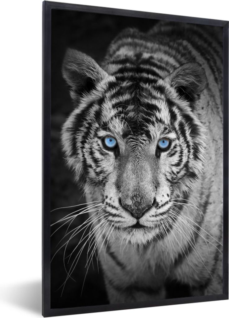MuchoWow Gerahmtes Poster Tiere - Tiger - Schwarz und weiß - Augen - Blau 60x90 cm - Poster mit Schwarzem Bilderrahmen Wandposter Rahmen Foto Bi...