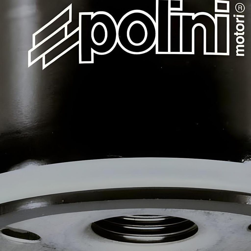 Polini Ölfilter kompatibel mit Aprilia, Gilera, Malaguti, Produktbild 