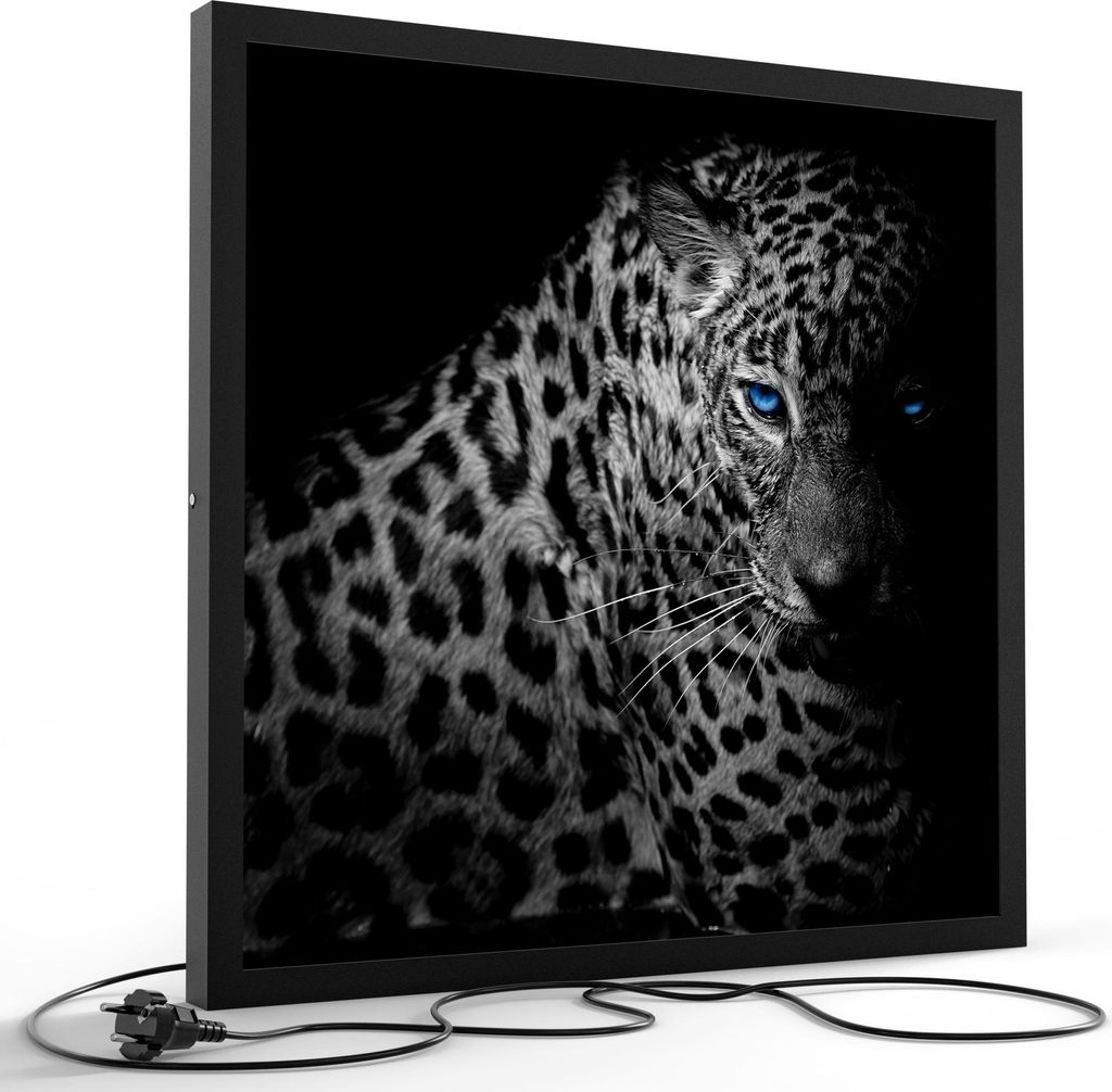 DEQORI LED-Bild & Lampe 60x60 cm Schwarz 'Leopard mit blauen Augen' Leuchtbild Leuchte