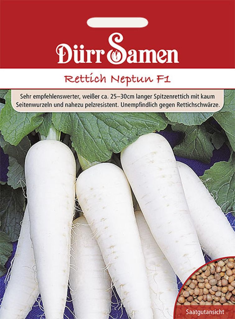 Dürr-Samen - Rettich Neptun F1 - Saatgut - 1569