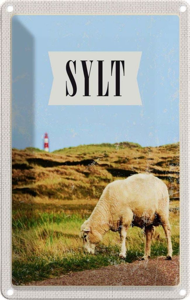 vianmo Blechschild 30x20 cm Sylt Stadt Urlaubsziel Wiese Bildmotiv Reisemotiv Abenteuer Reisen Urlaub